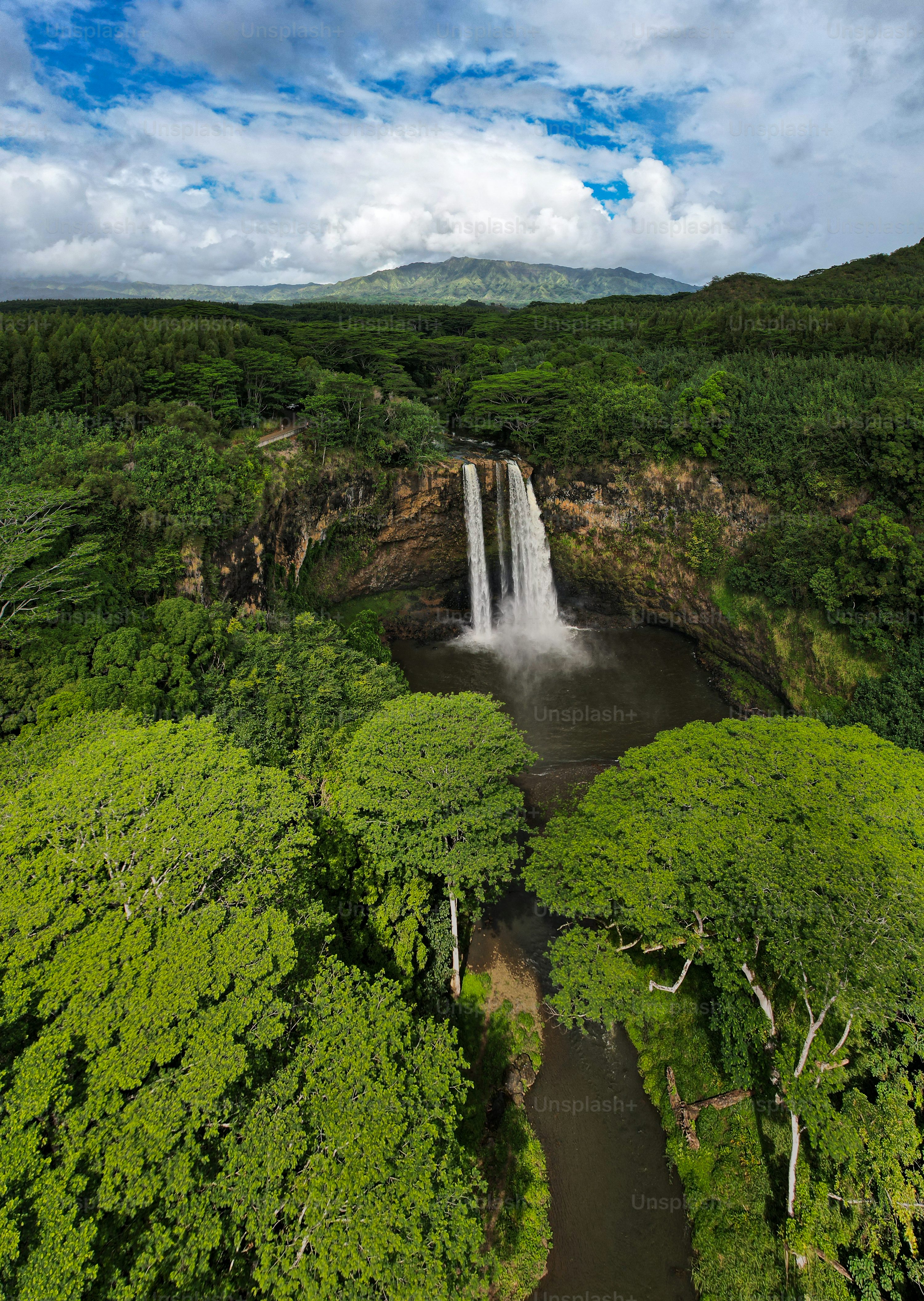 2026년 봄, 벚꽃 말고 여기 어때? 🌸